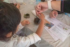 苔テラリウムワークショップ